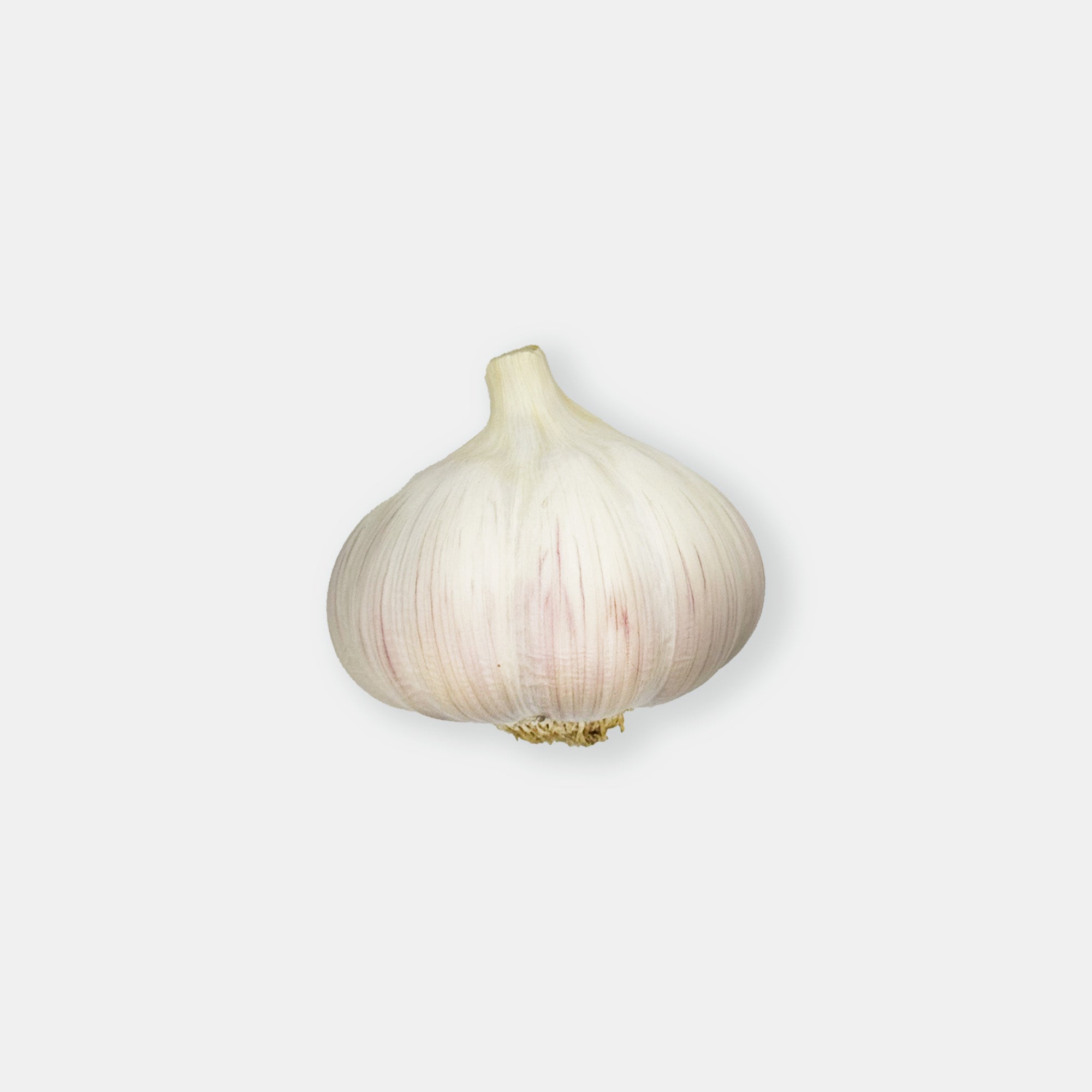Ail, 1 tête