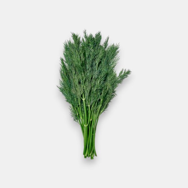 Bouquet d'aneth frais 100 g, origine France, épicerie de légumes frais