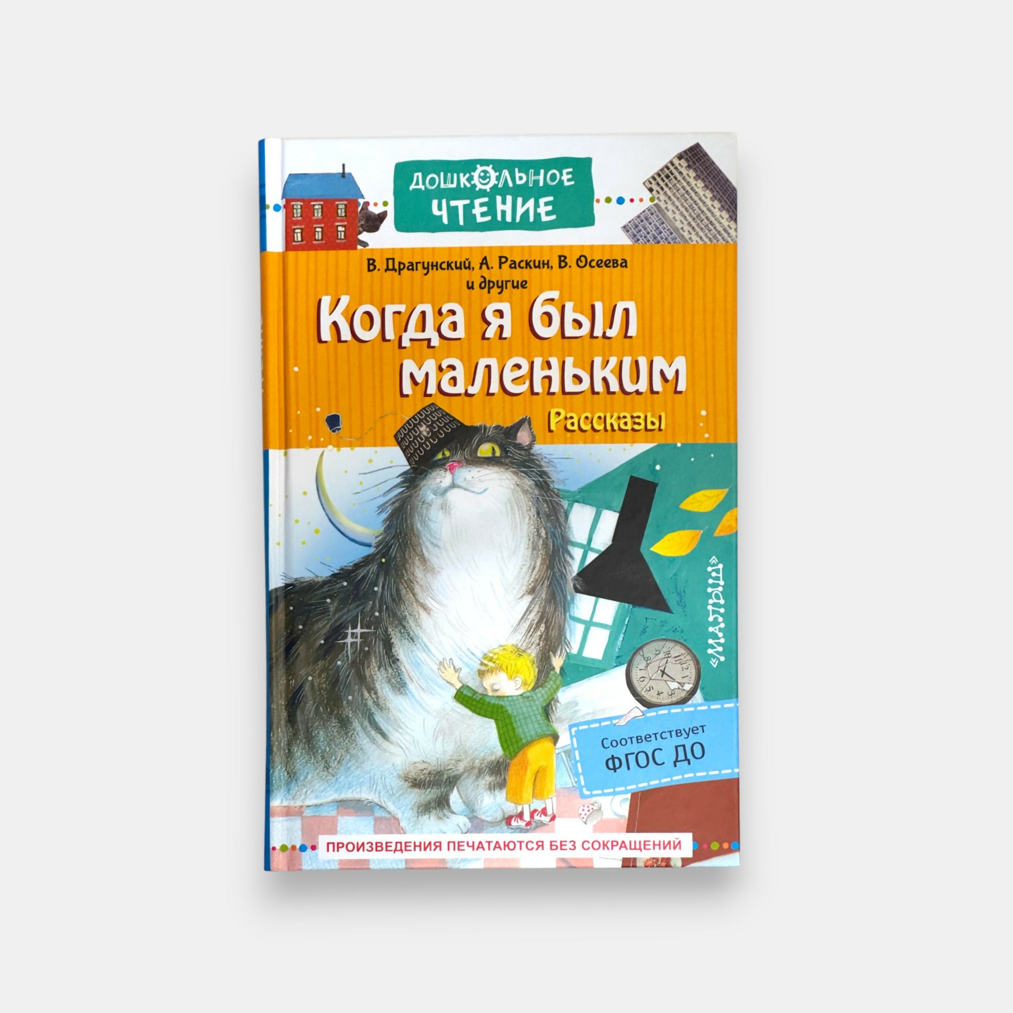 Couverture du recueil “Quand j’étais petit”, illustration avec un enfant et un chat, récits touchants sur l’enfance, disponible chez Pomo.bio, épicerie slave à Paris.