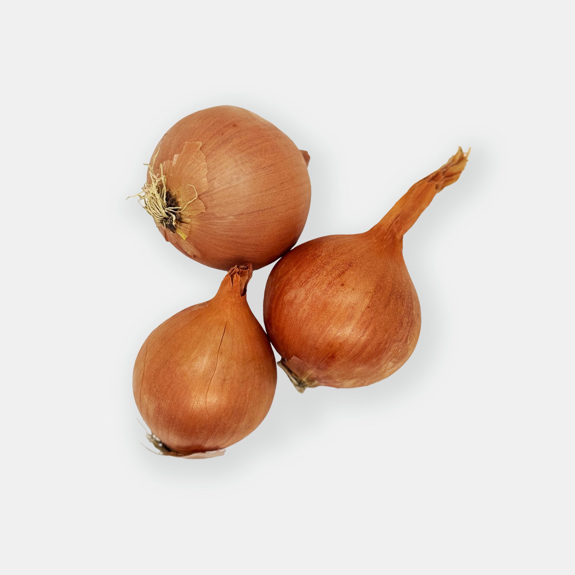 Oignons jaunes, 0,5 kg