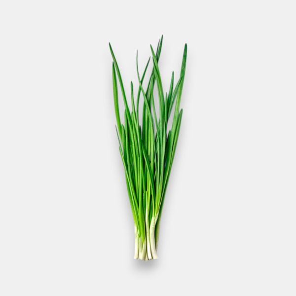 Bouquet d'oignons verts frais, légumes cultivés en France, épicerie fraîche Pomo.bio